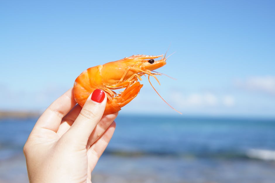 새우 볶음밥 만들기 3 새우 요리 레시피